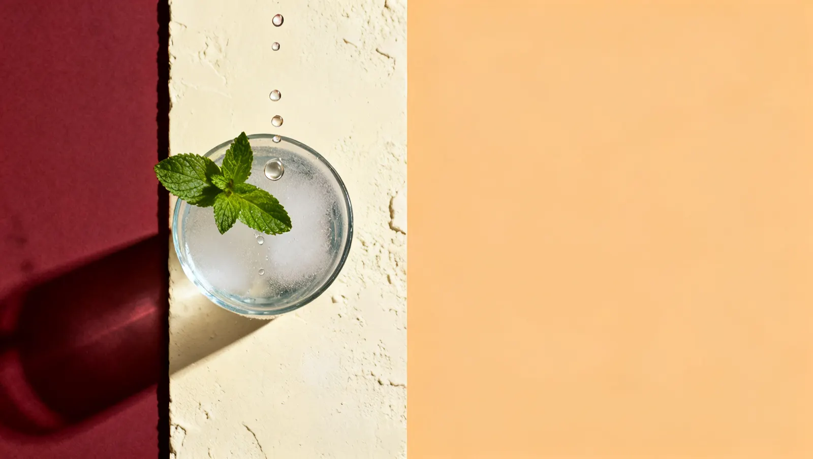 Natureza-morta em luz lateral dura: um ramo de hortela fresca e gotas de agua suspensas, sobre fundo vinho e creme