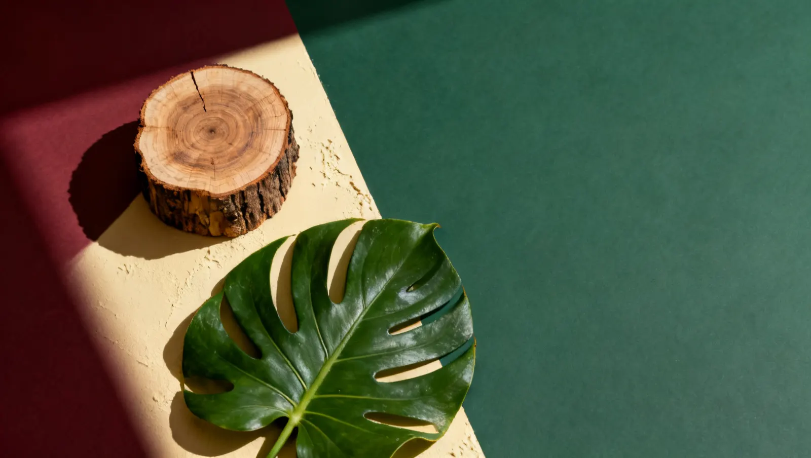 Natureza-morta em luz lateral dura: um corte de madeira bruta e uma folha tropical grande, sobre fundo vinho e creme